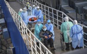Medisch personeel brengt dinsdag patiënten over naar het nieuwe tijdelijke Huoshenshan-veldhospitaal in het Chinese Wuhan, Het aantal officieel vastgestelde besmettingen is tot boven de 20.000 gestegen. beeld EPA
