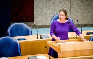 Minister Schouten. beeld ANP, Bart Maat