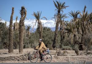 Oases in Marokko, belangrijk tegen de verwoestijning, lijden onder hoge temperaturen.​ beeld AFP, Fadel Senna
