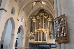„Het is belangrijk dat het hele psalmboek is berijmd én dat het hele psalmboek wordt gezongen. Alle 150 psalmen zijn door de Heilige Geest geïnspireerd.” beeld RD. Anton Dommerholt