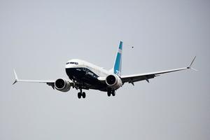 De Boeing 737 MAX. beeld AFP, Jason Redmond