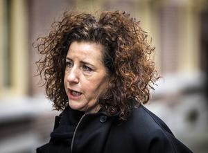 Minister Van Engelshoven. beeld ANP, Remko de Waal