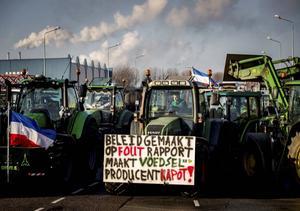 „Het boerenprotest is door het overheidsbeleid opgeroepen.” beeld ANP, Koen van Weel