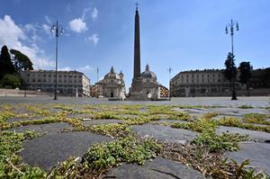 Onkruid groeit tusen de stenen van de Piaza del Popolo in Rome. Teken van de verlatenheid als gevolg van de virusuitbraak. beeld AFP, Alberto Pizzoli