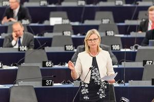 CDA-Europarlementariër Annie Schreijer. beeld ANP
