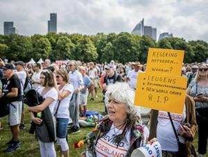 Demonstranten op het Malieveld. Prof. Theo Meder: „Het lijkt wel of het coronavirus een soort gekte aan het creëren is. De pers wordt niet meer geloofd door groepen mensen.” beeld ANP, Remko de Waal