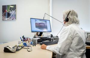 Een huisarts tijdens een online consult. beeld ANP, Koen van Weel