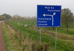 beeld ANP