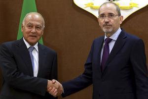 Safadi: terugroepen ambassadeur is eerste stap.  beeld AFP