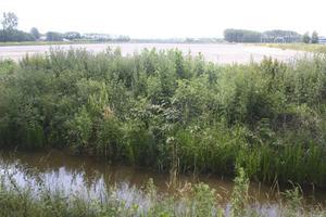 Na ontdekking van de vervuiling in de geluidswal bij golfterrein The Dutch bij Spijk damde de gemeente de naastgelegen sloten af. Op het vervuilde terrein is een opvangbassin voor regenwater aangelegd. beeld André Bijl