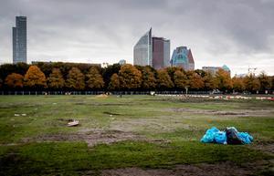 Malieveld. beeld ANP