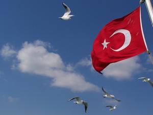 Turkse vlag. beeld RD