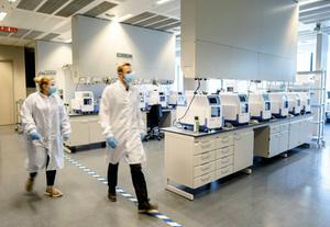 In het grootste coronatestlab van Nederland, hier van laboratoriumgigant Eurofins in Rijswijk, kunnen 35.000 tot 65.000 tests per dag worden uitgevoerd. Volgens een woordvoerder van Eurofins bieden de tests 99,8 procent zekerheid. beeld ANP, Bart Maat