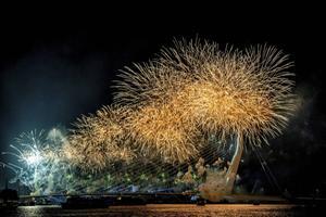 Vuurwerk in Rotterdam. beeld ANP, Robin Utrecht