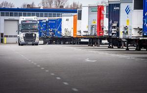 Vrachtwagens bij de ferry van Vlaardingen. beeld ANP, Lex van Lieshout