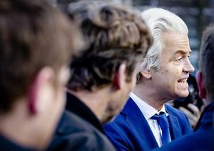 PVV-leider Geert Wilders. beeld ANP