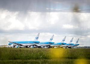 Toestellen van de KLM op luchthaven Schiphol. beeld ANP, Remko de Waal