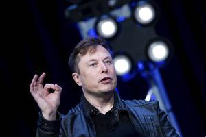 Tesla-topman Elon Musk. beeld AFP, Brendan Smialowski