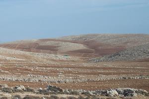 Vier internationale kerkelijke organisaties hebben een officiële verklaring uitgebracht waarin zij verzet aantekenen tegen de voorgenomen annexatie door Israël, per 1 juli, van Palestijnse bezette gebieden. Foto: Westelijke Jordaanoever. beeld Alfred Muller