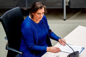 Agaath Cleyndert, directeur Toeslagen bij de Belastingdienst, tijdens de derde dag van de hoorzittingen van de tijdelijke commissie die onderzoek doet naar problemen rond de fraudeaanpak bij de kinderopvangtoeslag. beeld ANP, Robin Utrecht