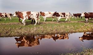 beeld ANP, Robin Utrecht