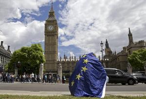 Bij het referendum over de brexit, op 23 juni 2016, stemde 51,9 procent voor en 48,1 procent tegen het vertrek van Groot-Brittannië uit de EU. Foto: een eenzame demonstrant protesteert tegen de referendumuitslag. beeld AFP, Justin Tallis