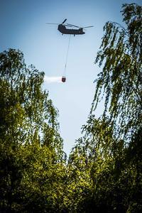 beeld ANP
