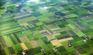 „Een land dat zichzelf serieus neemt, zal het agrocomplex beschermen en er tegelijkertijd geopolitiek mee bedrijven. Melkpoeder in ruil voor markttoegang. Bij voorkeur doet Nederland dat in EU-verband.” beeld iStock