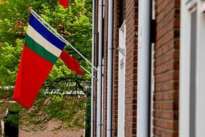 De Molukse vlag. beeld ANP