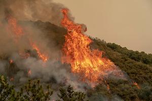 beeld EPA KYLE GRILLOT
