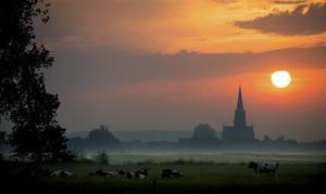 „Wanneer wij tot de Heere roepen om een opwekking, dan moet ons roepen gepaard gaan met hartelijke bekering.” beeld ANP, Robin van Lonkhuijsen