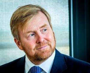 Koning Willem-Alexander met baard. beeld ANP, REMKO DE WAAL