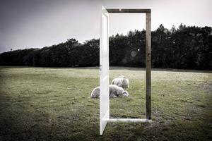 beeld RD, Henk Visscher