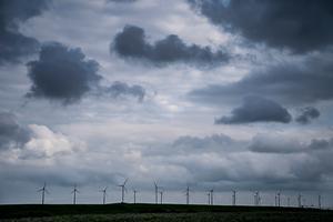 beeld ANP, Siese Veenstra