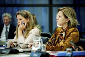 De ministers Schouten (LNV) en van Nieuwenhuizen (IenW) bij het debat over de spoedwet. beeld ANP, Robin van Lonkhuijsen