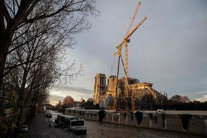 Notre-Dame. beeld AFP
