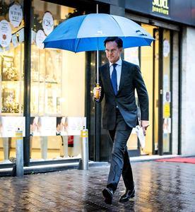 Premier Mark Rutte. beeld ANP, Remko de Waal