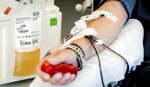 Bloed van herstelde coronapatiënten bevat antistoffen tegen het virus, waar ernstig zieke patiënten misschien van kunnen profiteren. Wereldwijd is er onderzoek gaande naar deze experimentele behandelwijze. beeld ANP, Koen van Weel