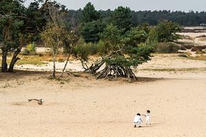 beeld ANP, Rob Engelaar