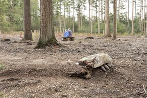 ‘Grafzerk’ uit november 2019 op de natuurbegraafplaats bij Elspeet die deze vrijdag officieel is geopend. beeld André Dorst