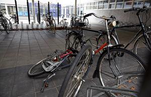 beeld ANP