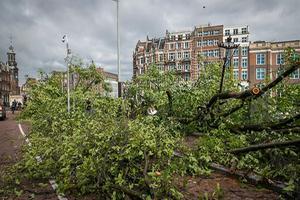 beeld ANP