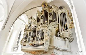 Het orgel in de Oude Kerk in Barneveld. beeld Hans Malestein Fotografie