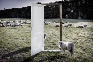 „De artikelenreeks over Evangeliegemeente De Deur wil een spiegel zijn. Het is de be-doeling dat lezers daarin kijken en zich afvragen: welke parallellen zie ik bij mezelf, de gemeente waar ik meeleef of de organisatie waarvan ik deel uitmaak?” beeld RD, Henk Visscher