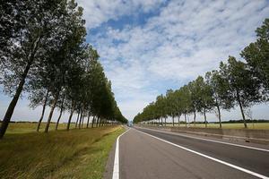 Zo zouden de provinciale wegen in Zuid-Holland eruit moeten zien, als het aan de CU/SGP-fractie ligt: vrij van reclameborden met posters van datingsite SecondLove. Maar dat gaat niet gebeuren, lieten de Gedeputeerde Staten deze week weten. beeld ANP, Bas Czerwinski