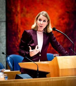 Staatssecretaris Van Veldhoven. beeld ANP, Remko de Waal