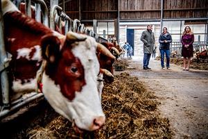 beeld ANP, Robin Utrecht