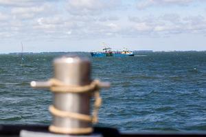 Oosterschelde. beeld ANP, Jeroen Jumelet