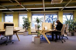„Voor zzp’ers is het van belang voorzieningen te treffen voor pensioen en arbeidson-geschiktheid en te investeren in de eigen ontwikkeling.” beeld ANP, Robin van Lonkhuijsen