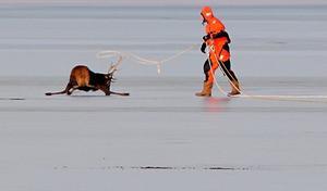 beeld EPA